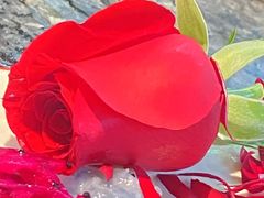 -蜀大侠火锅(春熙路店)