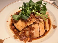 沙姜走地鸡-博多新记·粤菜(复兴店)