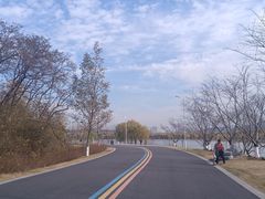 -羊山湖公园