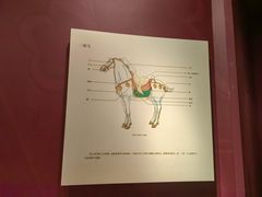 -西安大唐西市博物馆