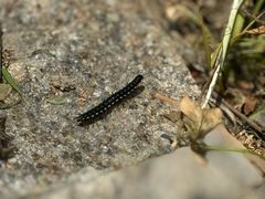 -狼山风景名胜区