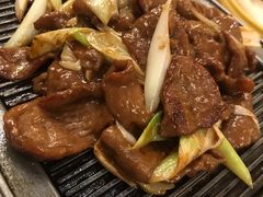 -大鸭梨烤鸭店(花园村店)