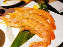 阿根廷红虾-江户烧肉(高德店)