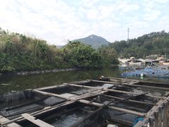 鱼塘虾塘-岛中岛·海鲜大排档·万宁老字号(东澳店)