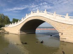 -天津东丽湖风景区