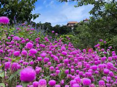 -东莞观音山旅游风景区