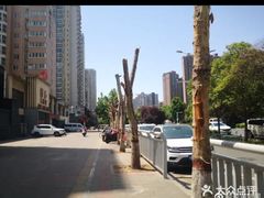 -阿五黄河大鲤鱼(英协路店)