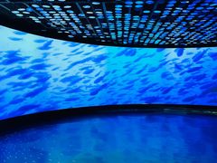 -同济大学四平路校区深海探索馆
