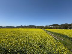 -古田会议纪念馆