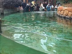 -忆江南·临江鱼馆