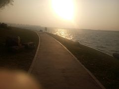 -丁香湖公园