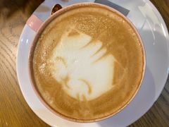 -猫色咖啡·猫咖