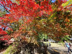 -丹东天桥沟景区