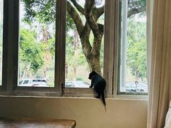 -水牛石手工水果茶店