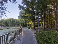 -长春市南湖公园