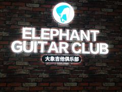 -大象音乐·吉他·架子鼓·声乐(双井店)