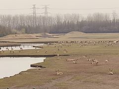 -溱湖国家湿地公园