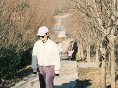 -冶父山国家森林公园