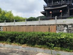 -大唐贡茶院
