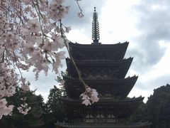 -醍醐寺