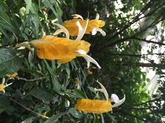 iphone_upload_pic-西安世博园