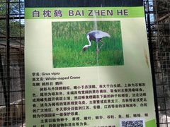 -保定市动物园