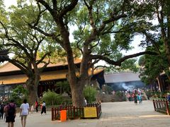 -舟山希尔顿酒店