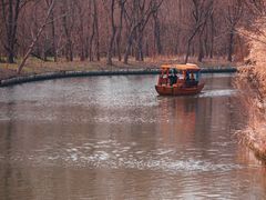 -溱湖国家湿地公园