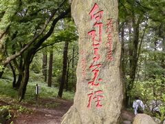 -庐山风景区花径公园