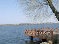 -丁香湖公园