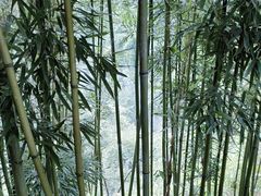 -龙水峡地缝景区