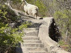 -圣莲山风景区