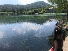 -西湖外事游船(花港观鱼码头)