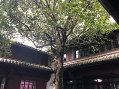 -蒋氏故居