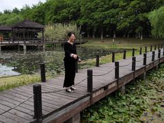 -昆山城市生态森林公园