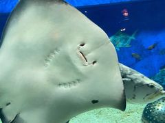 -成都浩海立方海洋公园