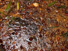 -胖子鱼·天水麻辣鱼火锅(秦州407店)