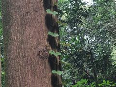 -白云山风景名胜区