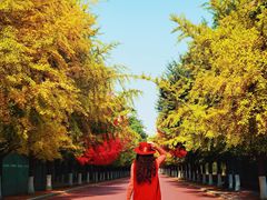 -辽宁大学(崇山校区)