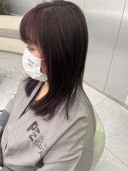 点击看大图 -PE SALON