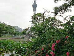 -文华公园(禅城区)
