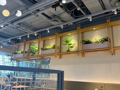 -翡翠拉面小笼包Crystal Jade(上海浦东国际机场T1店)