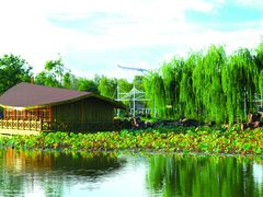 -南戴河国际娱乐中心