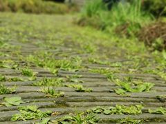 -韩湘水博园
