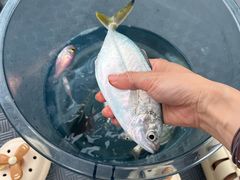 -小猫钓鱼海钓俱乐部(椰梦长廊店)