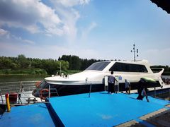 -滕州微山湖红荷湿地景区