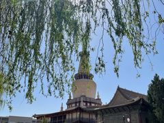 -张掖大佛寺景区