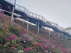 -白石龙音乐公园