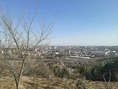 -白水寺森林公园