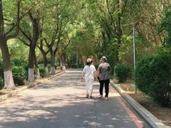 -丁香湖公园